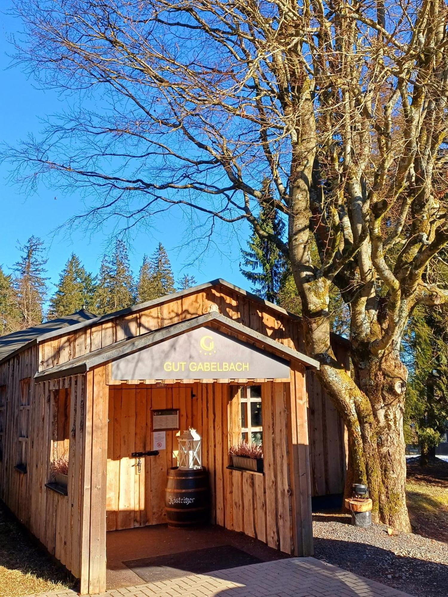 Berg & Spa Hotel Gabelbach Ilmenau Buitenkant foto