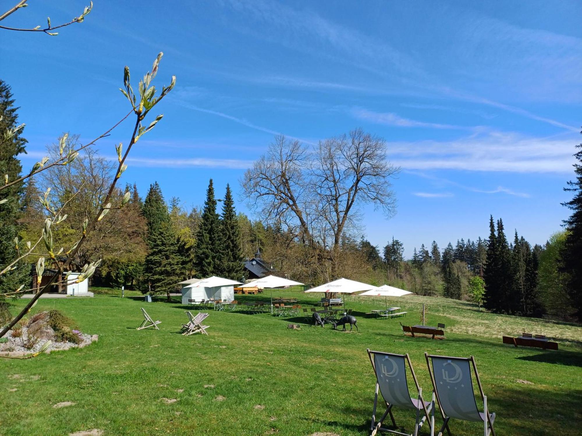 Berg & Spa Hotel Gabelbach Ilmenau Buitenkant foto